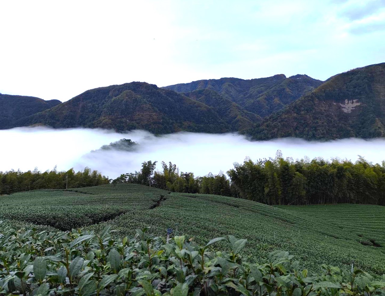 仙境民宿景觀一